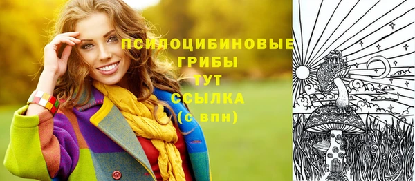 дурь Алексеевка