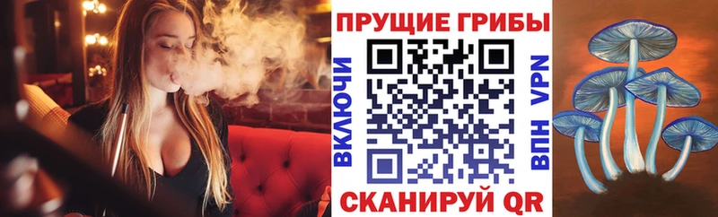 как найти наркотики Ейск omg зеркало Псилоцибиновые грибы Cubensis
